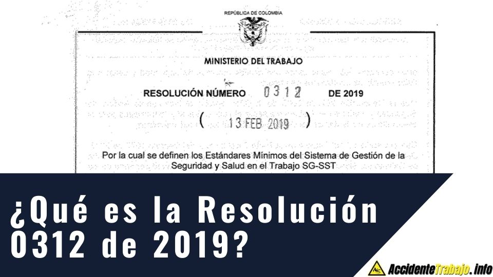 ¿Qué es la Resolución 0312 de 2019?